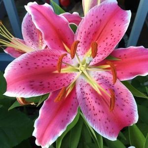 Meet your Posher, Stacy